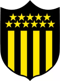 Copa Libertadores - Pañarol Logo